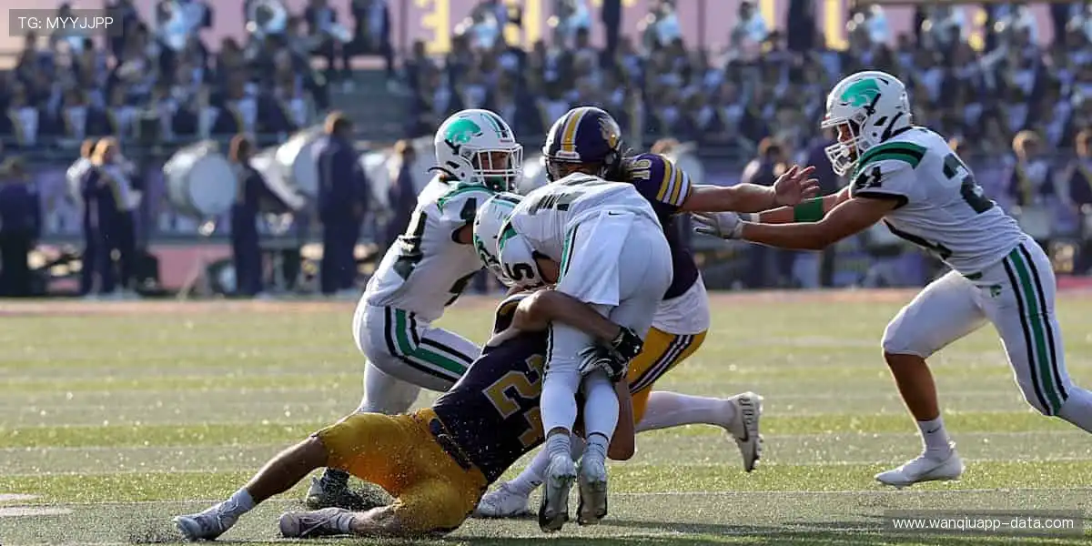 🎁限量发售，手慢无！💪品质保证，球迷必备神器！